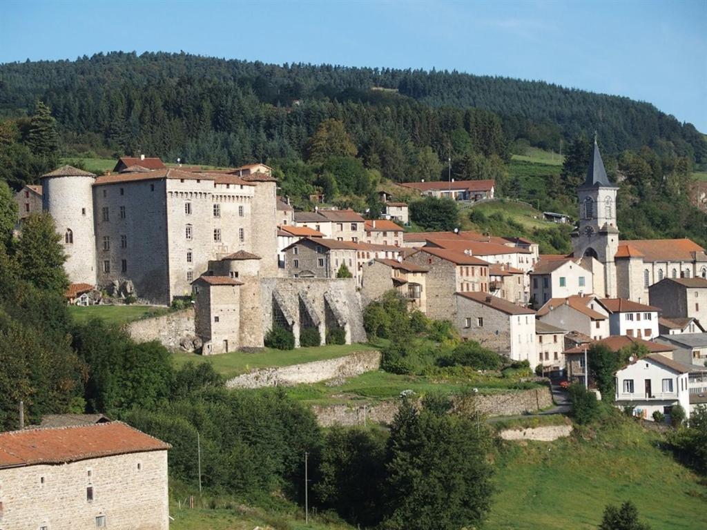 Chateau Des Marcilly Talaru Chalmazel-Jeansagniere Exterior foto