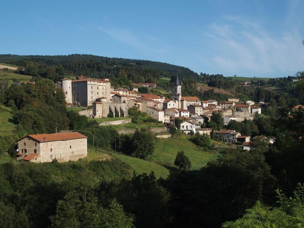 Chateau Des Marcilly Talaru Chalmazel-Jeansagniere Exterior foto